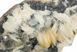 Cerussite Crystals with Bladed Barite on Galena - Morocco #222908-1